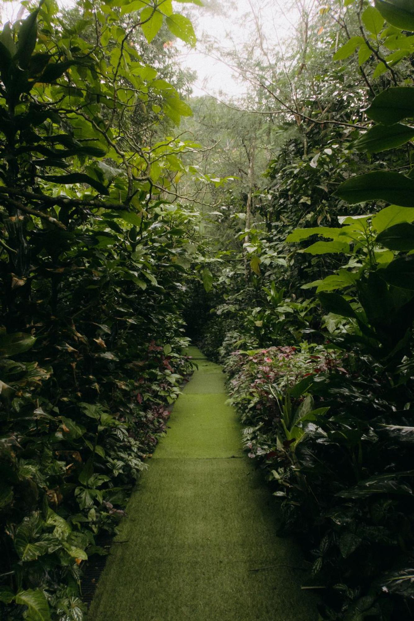 希萨鲁阿 Habitat Hills酒店 外观 照片